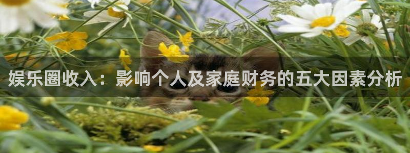 AB娱乐：娱乐圈收入：影响个人及家庭财务的五大因素分析