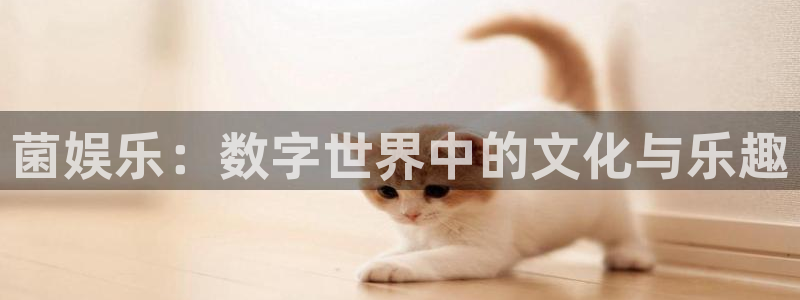 AB娱乐：菌娱乐：数字世界中的文化与乐趣