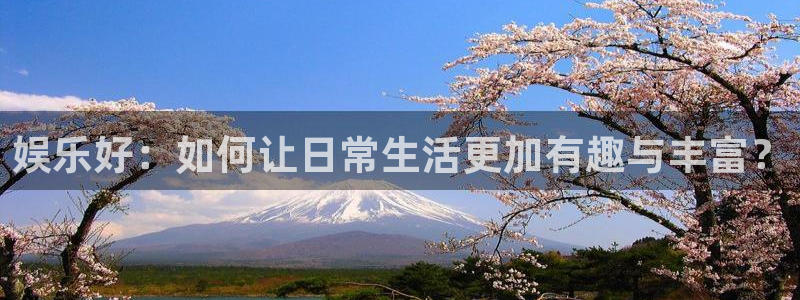AB娱乐