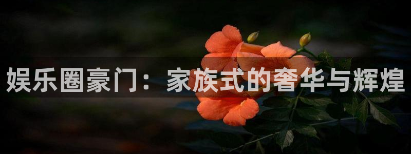 AB娱乐：娱乐圈豪门：家族式的奢华与辉煌