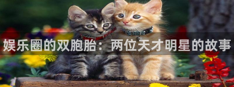 AB娱乐：娱乐圈的双胞胎：两位天才明星的故事